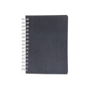 AGENDA DIÁRIA 2025
