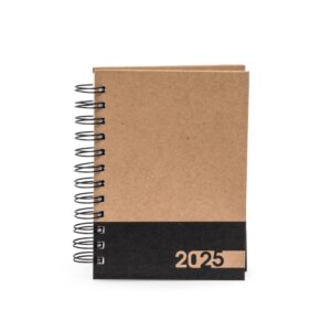 AGENDA DIÁRIA 2025