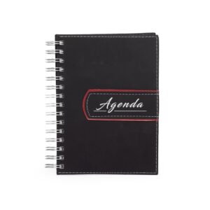 AGENDA DIÁRIA WIRE 2025-O