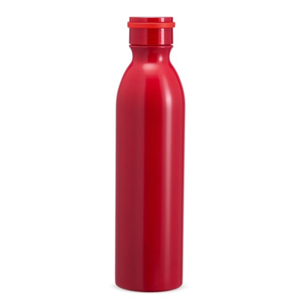 GARRAFA TÉRMICA 950ML - Imagem 4
