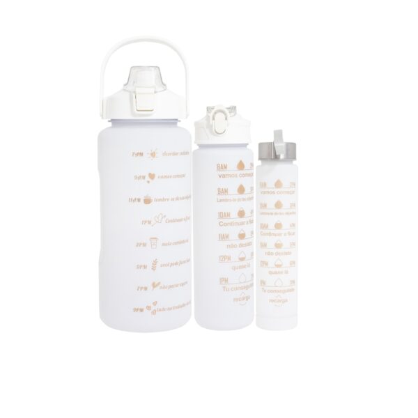 KIT 3 GARRAFAS - Imagem 5