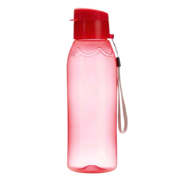SQUEEZE PLÁSTICA 700ML - Imagem 8