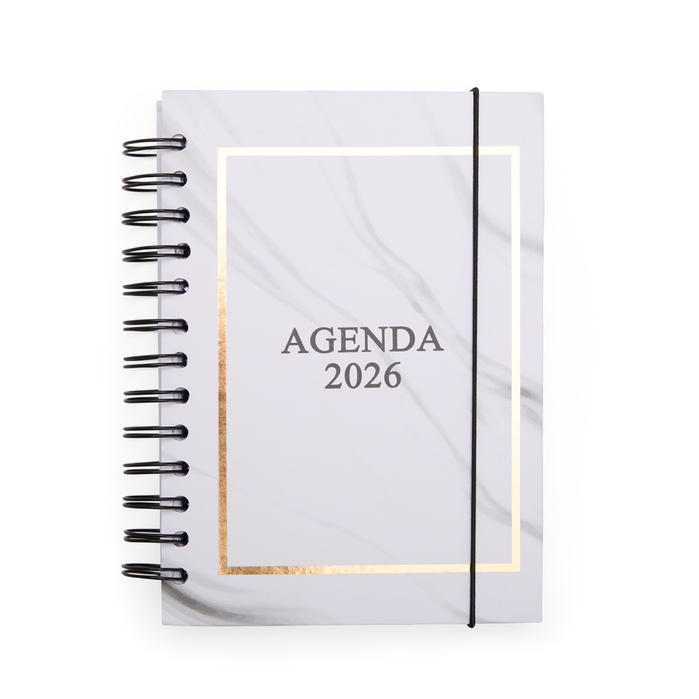 AGENDA DIÁRIA 2026 WIRE-O